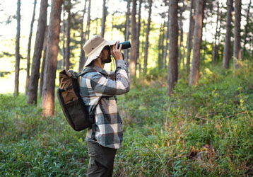 Best Binoculars for Bird Watching in 202
