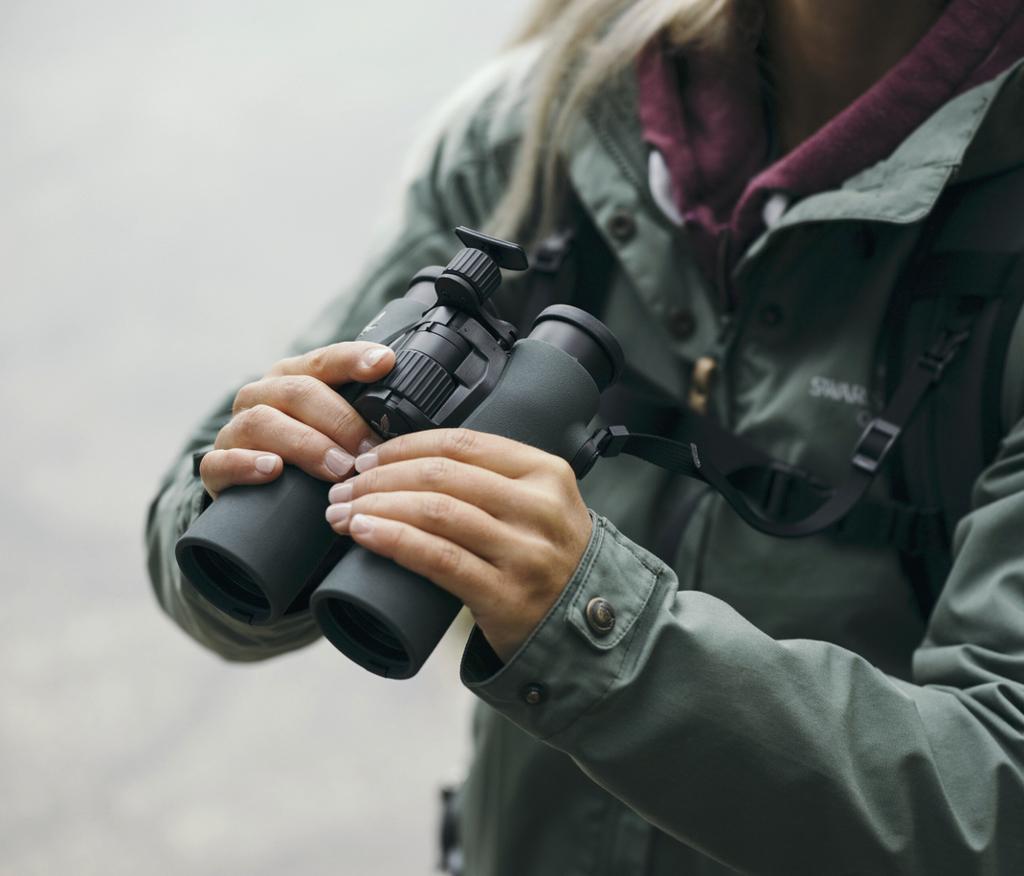 Best Binoculars for Bird Watching in 2026 | A Complete Buying Guide by INJIE Optics