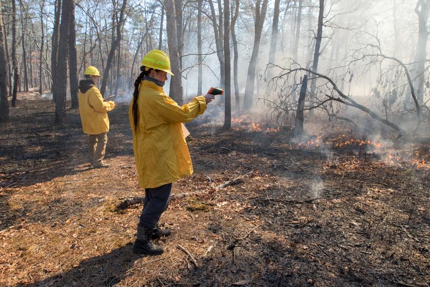 Enhancing Forest Fire Prevention with Precision Laser Measurement