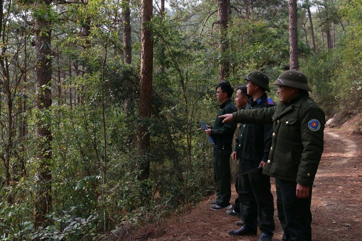 Enhancing Forest Fire Prevention with Precision Laser Measurement