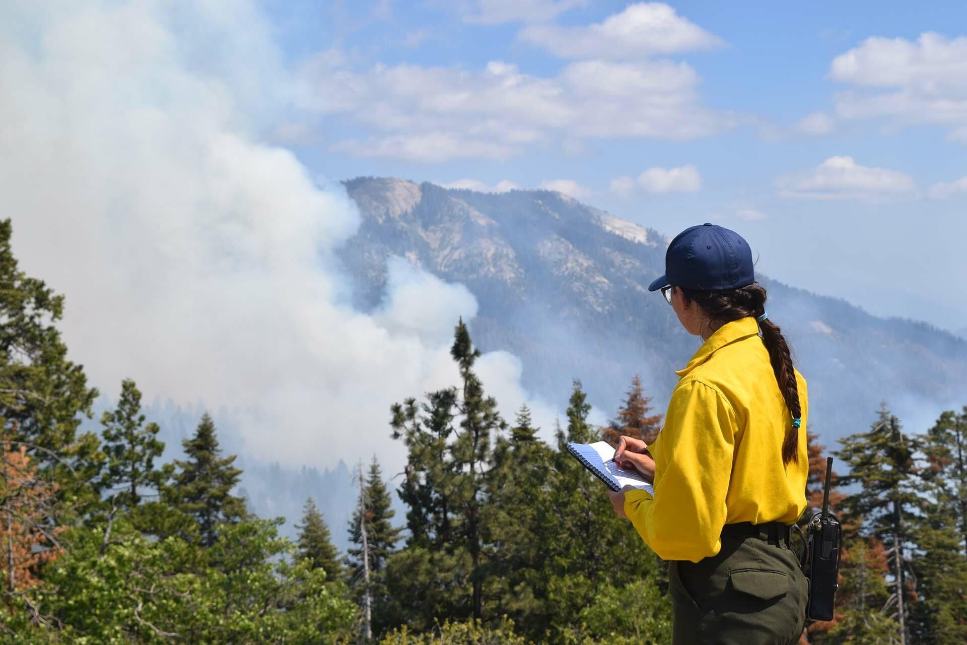 Enhancing Forest Fire Prevention with Precision Laser Measurement