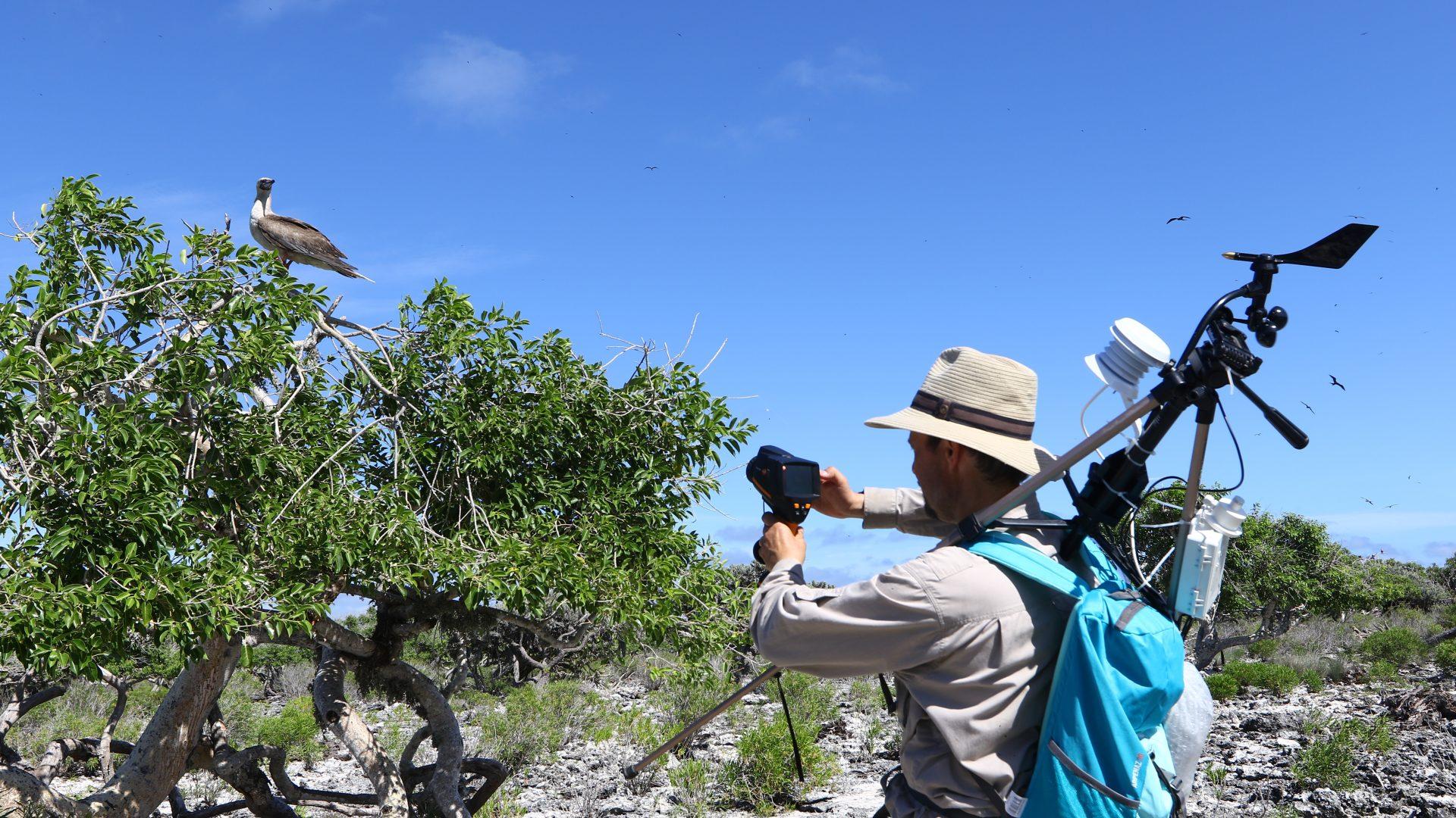 INJIE Optics Laser Rangefinders for Wildlife Conservation and Ecological Research