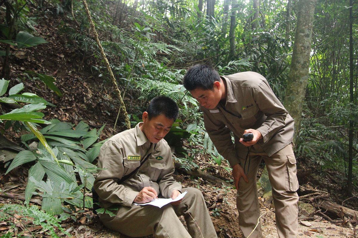 INJIE Optics Laser Rangefinders for Wildlife Conservation and Ecological Research