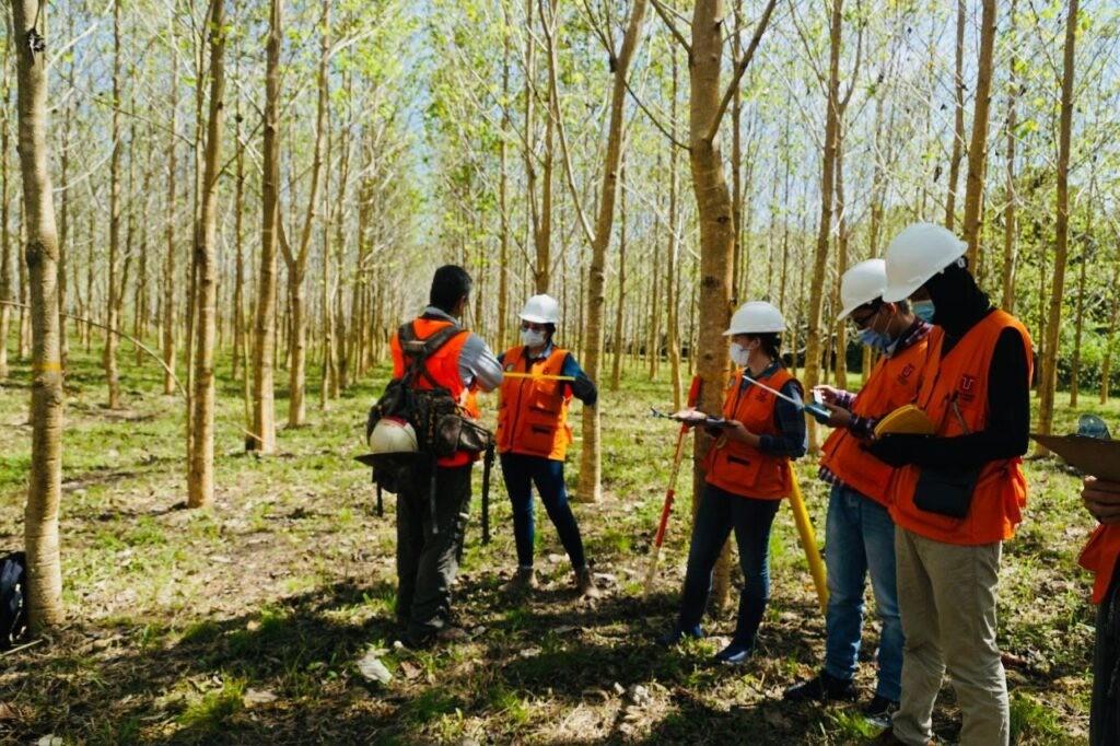 INJIE Optics Laser Rangefinders for Reforestation | Professional Forestry Measurement Solutions