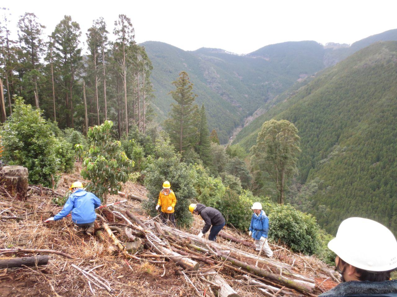 INJIE Optics Laser Rangefinders for Reforestation | Professional Forestry Measurement Solutions