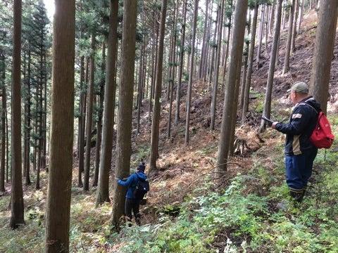 INJIE Optics Laser Rangefinders for Reforestation | Professional Forestry Measurement Solutions